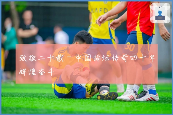 致敬二十载 - 中国排坛传奇四十年辉煌奋斗