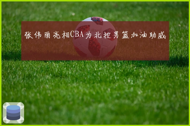 张伟丽亮相CBA为北控男篮加油助威